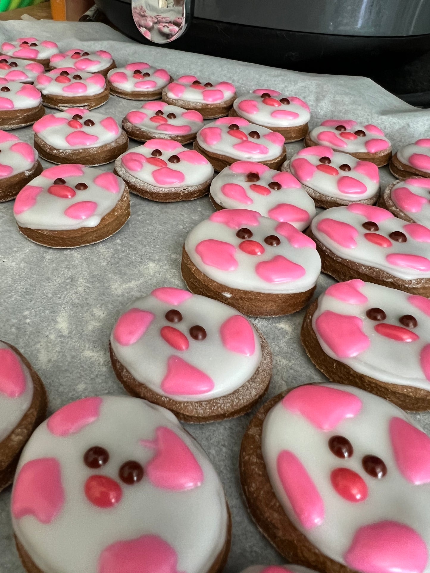 Pink Cows! 🐮🩷
