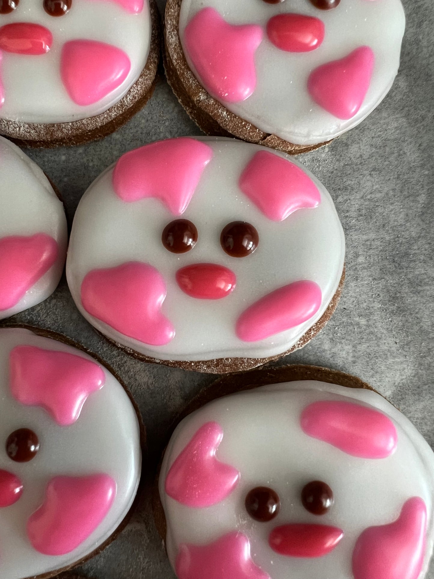 Pink Cows! 🐮🩷